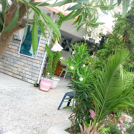 Apartment Lila